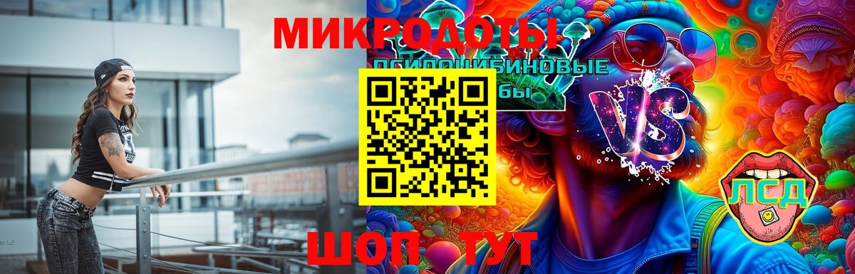 Советская Гавань  Псилоцибиновые грибы Magic Shrooms  Вход с VPN  Галлюциногенные грибы Psilocybe 